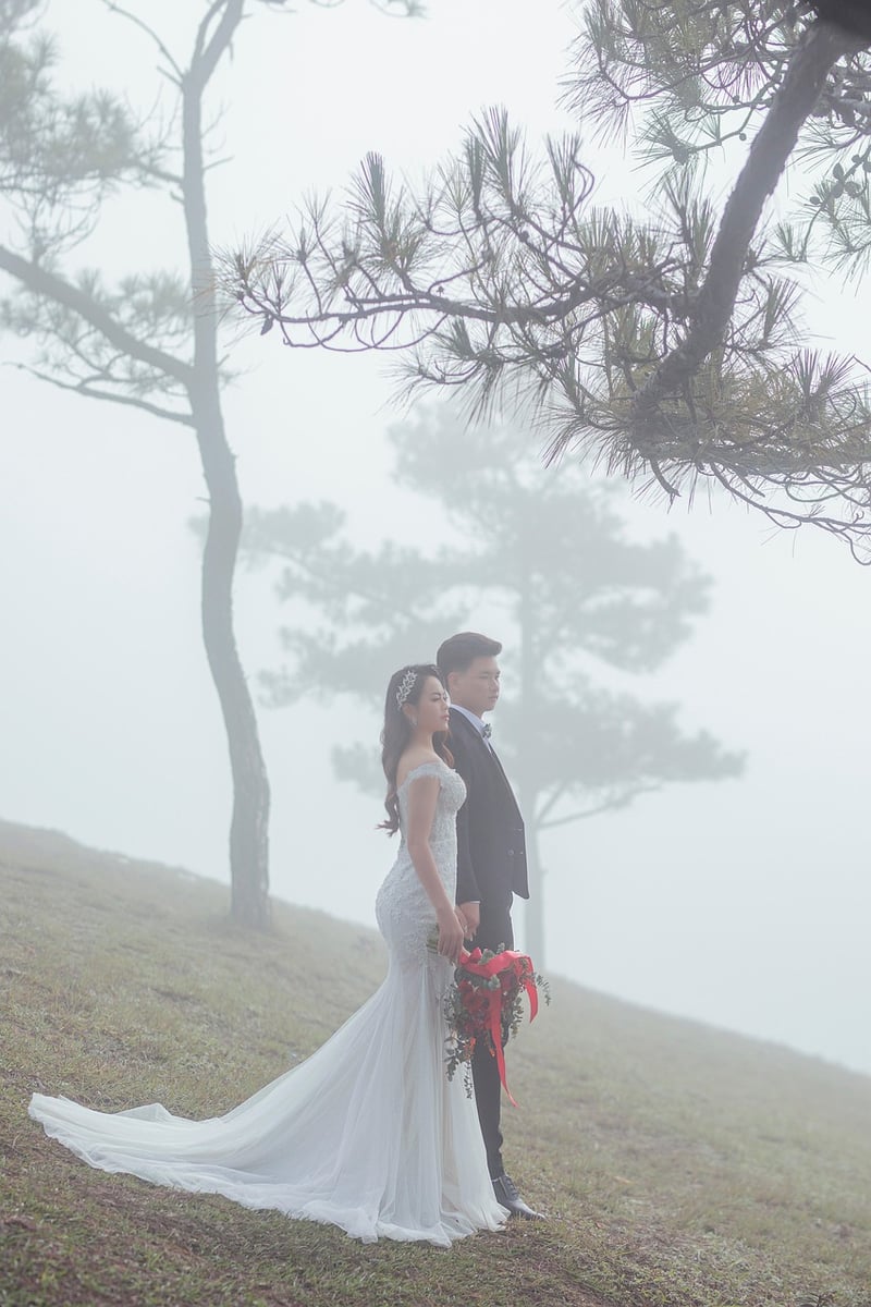 Forest Groom